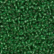 Miyuki seed beads 11/0 - Green silver lined 11-16